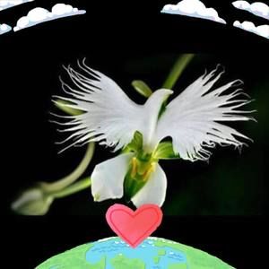 Meet your Posher, Judy